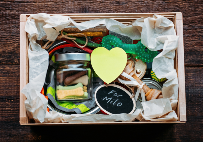 Which Dog Subscription Box Matches Your Pup’s Personality? Take the Quick Quiz to Get Your Match!